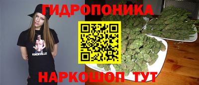 скорость Жуковский