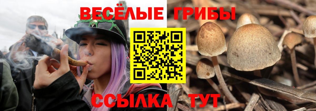 Галлюциногенные грибы Magic Shrooms  Вход с VPN  Дятьково 